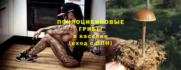 СК Абаза