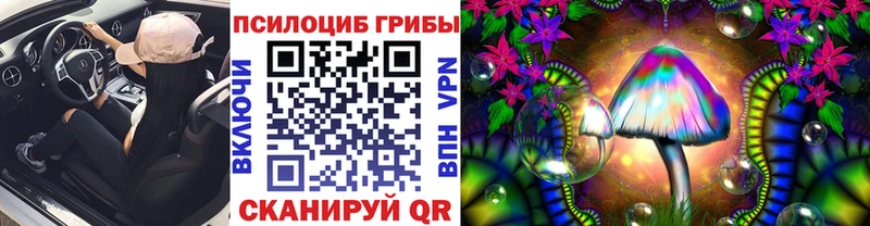 сколько стоит  это как зайти  Псилоцибиновые грибы Psilocybine cubensis  Богородицк 